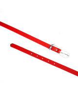 Women Leather Belt (Assorted Buckle) 103936
